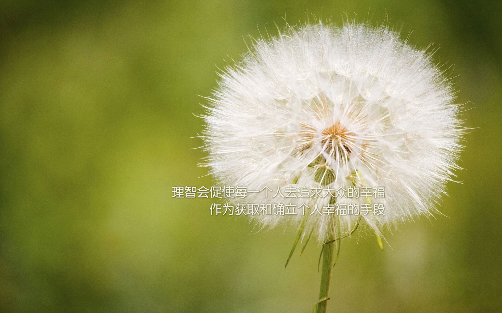 熊猫体育app下载-《电竞技能：最实用的操作技巧合集》，电竞教程