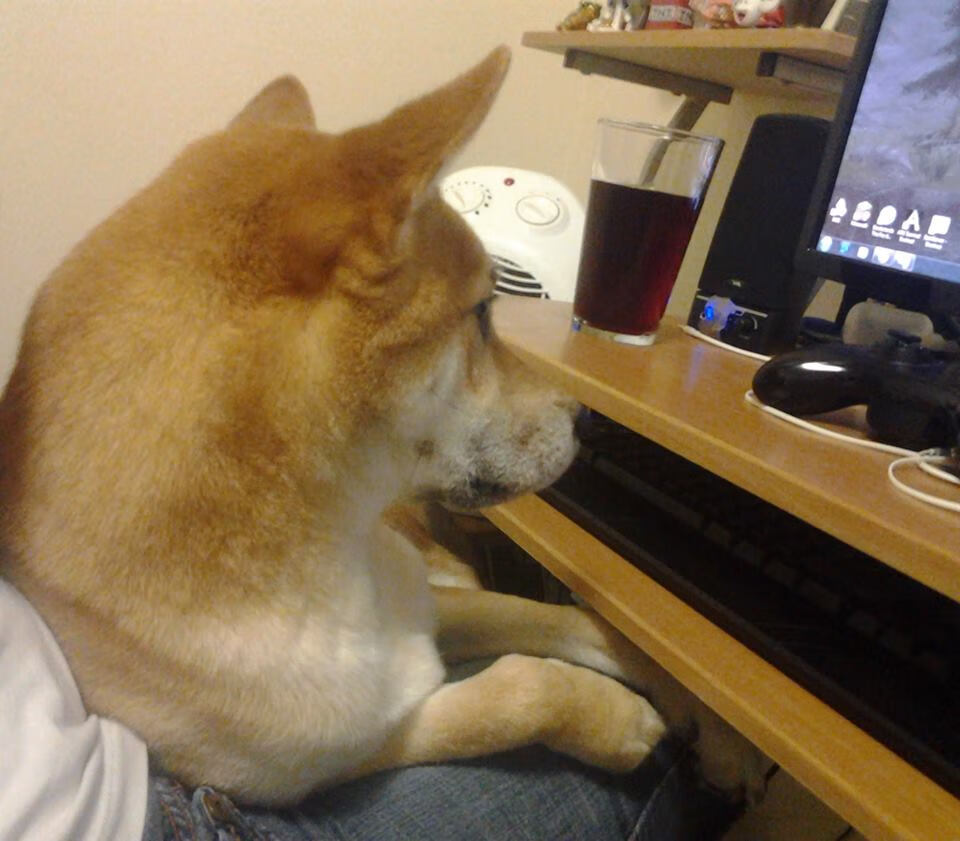 熊猫体育在线登录-中国足球市场潜力巨大，投资热情高涨，中国足球产业规模