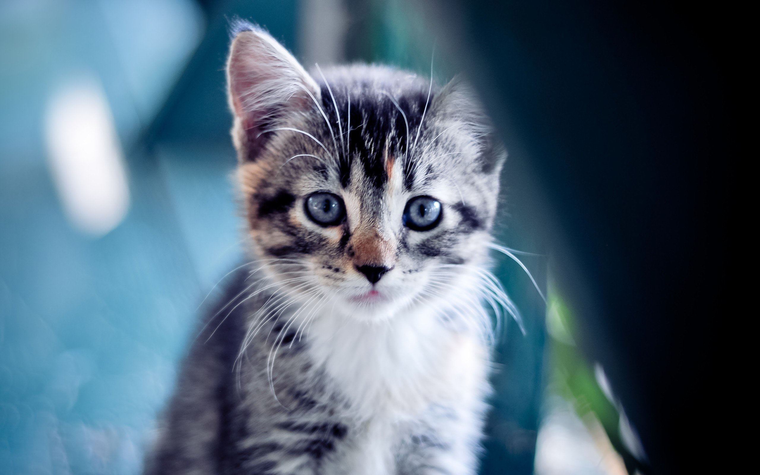 熊猫体育APP-法甲比赛高潮迭起，精彩进球和战术调整成为焦点，法甲集锦