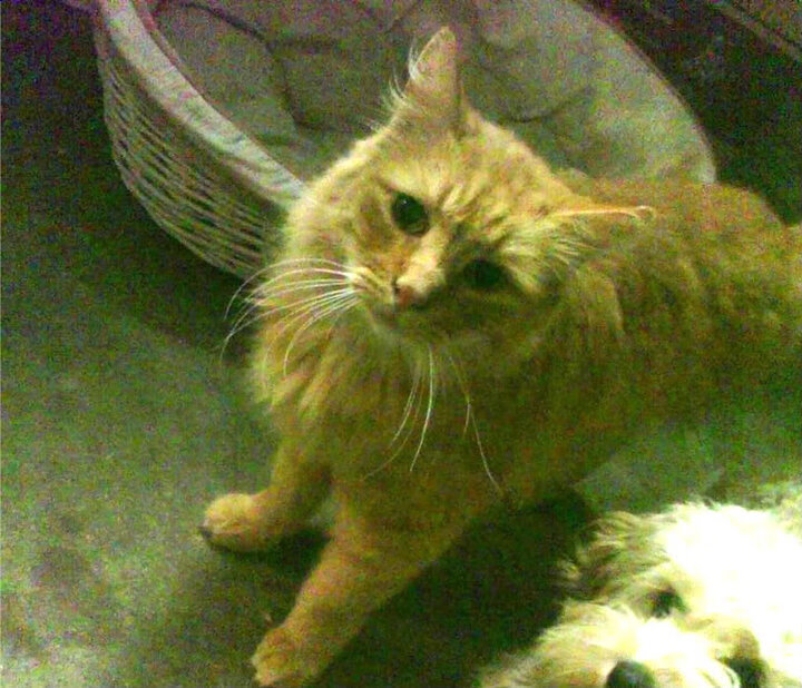 熊猫体育官网-篮球文化节活动吸引众多篮球爱好者参与，篮球文化艺术节