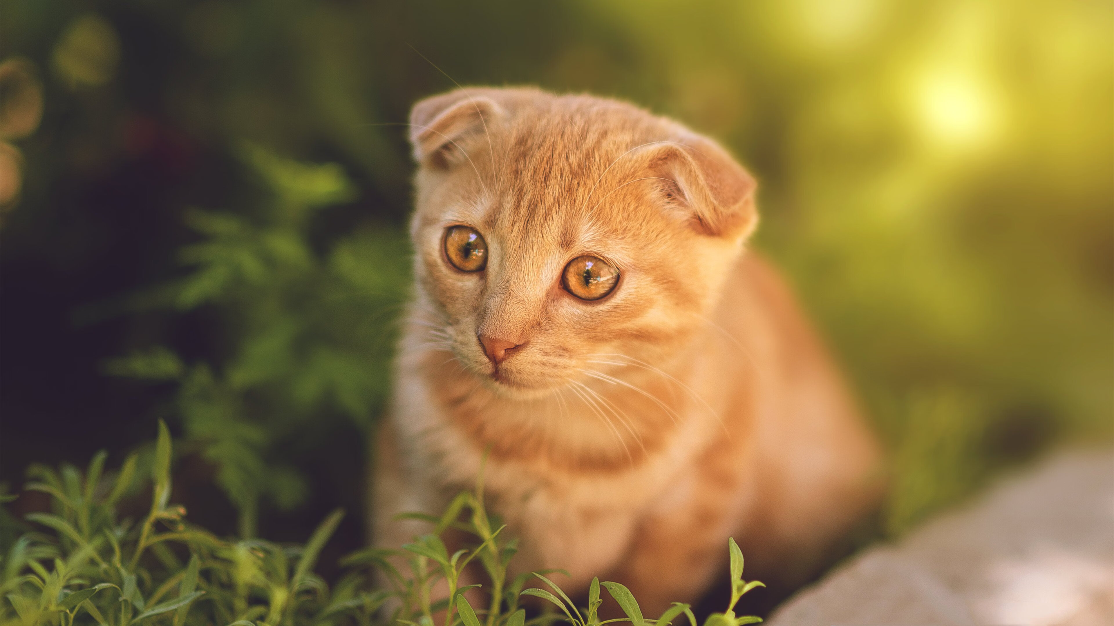 熊猫体育官方试玩-皇马客场平斯帕尔，晋级形势不明，皇马主场平蓝军