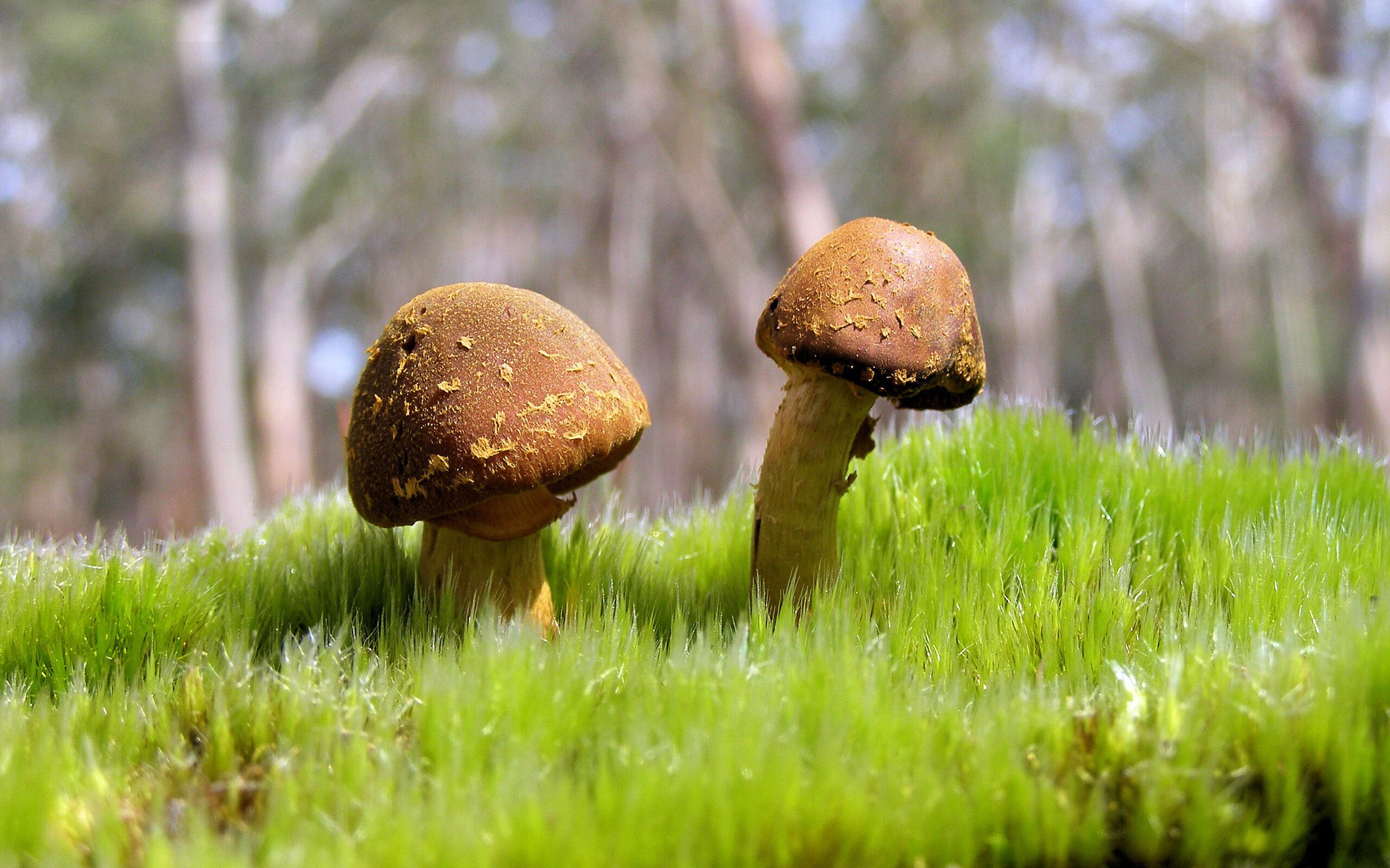 熊猫体育官网-校园足球教师配比逐步优化实现专业训练常态化，什么是校园足球教师的基本要求